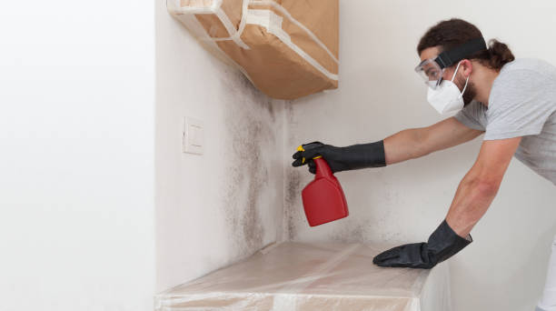Attic Mold Remediation treatment on roof deck in Levittown